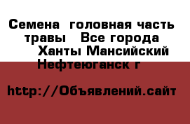 Семена (головная часть))) травы - Все города  »    . Ханты-Мансийский,Нефтеюганск г.